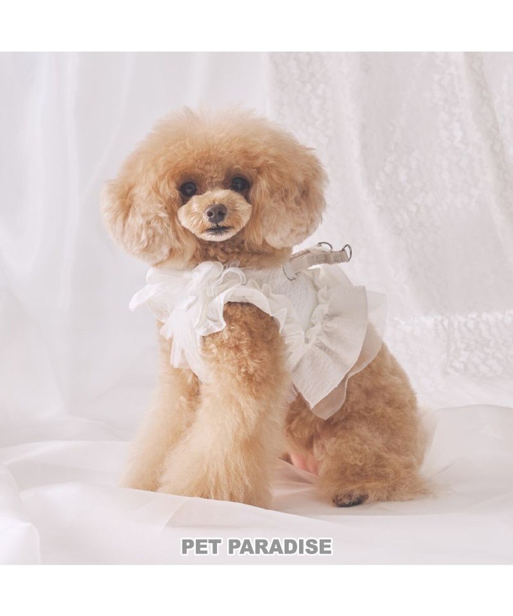 PET PARADISE cherircouture フリフリハーネス 《ホワイト》 小型犬 ＳＳ ホワイト