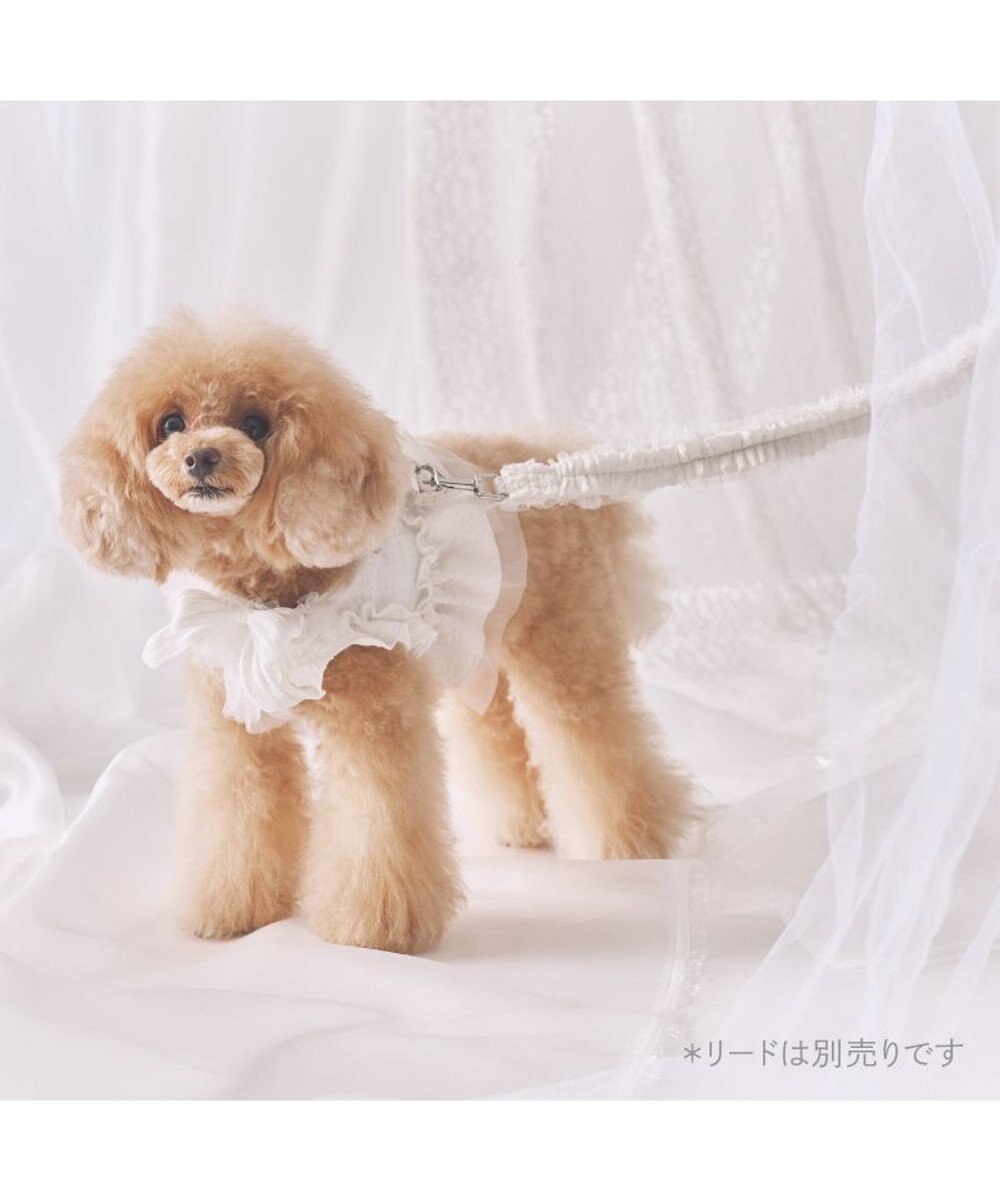 PET PARADISE cherircouture フリフリハーネス 《ホワイト》 小型犬 ＳＳ 