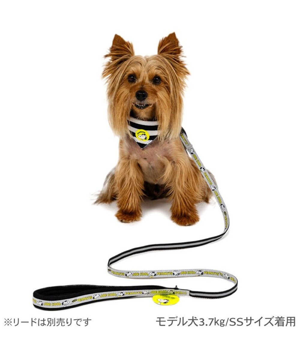 PET PARADISE スヌーピー ＪOE COOL 反射首輪 リバーシブル仕様 ３Ｓ 