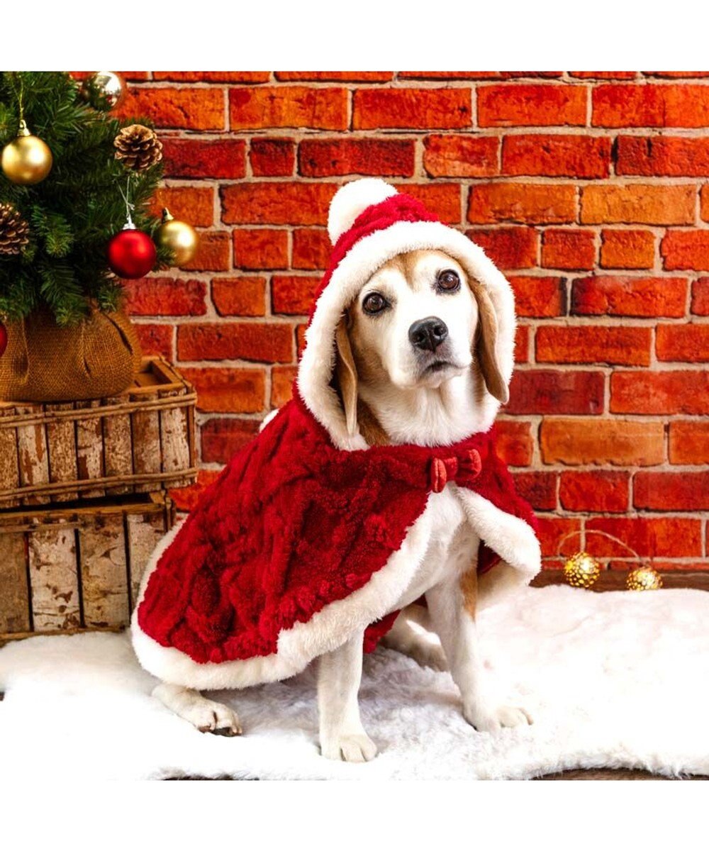 PET PARADISE ペットパラダイス サンタ ポンチョ 2025 中型犬 大型犬