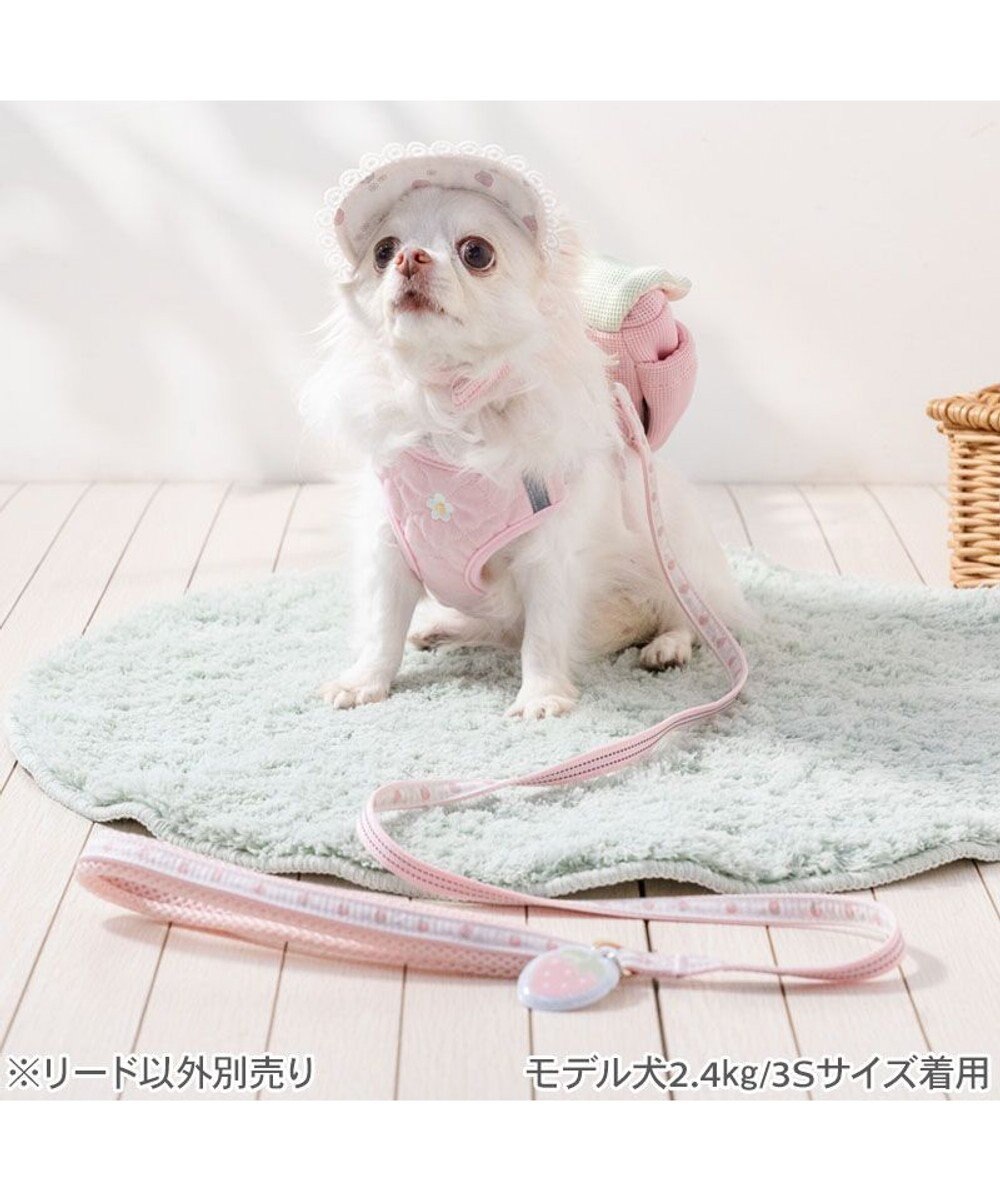 PET PARADISE ペットパラダイス 花苺柄 リード ４Ｓ～３Ｓ 