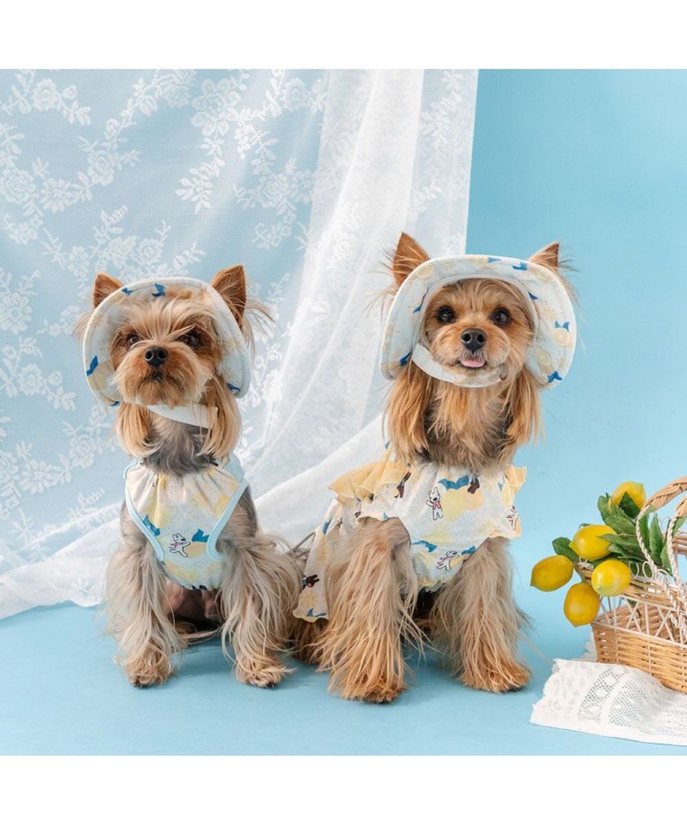 PET PARADISE リサとガスパール エコメイド シトラス タンクトップ 小型犬 