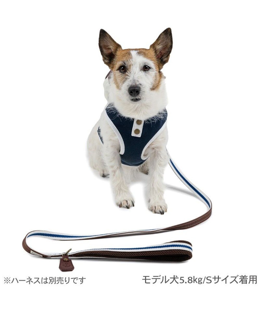 PET PARADISE ペットパラダイス ネイビー ライン入り リード ４Ｓ～３Ｓ 小型犬 