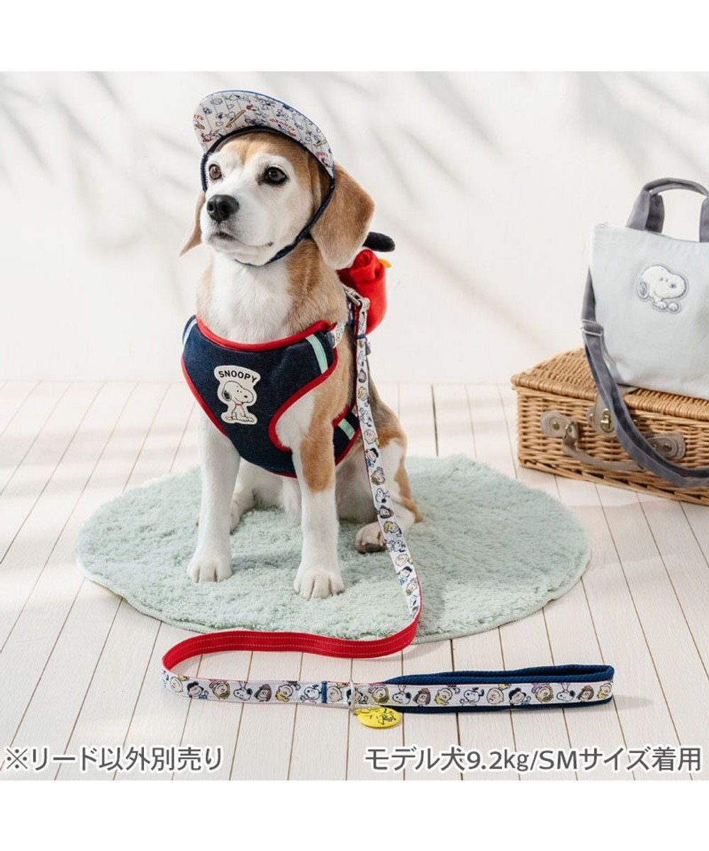 PET PARADISE スヌーピー なかよしリード ＳＭ 