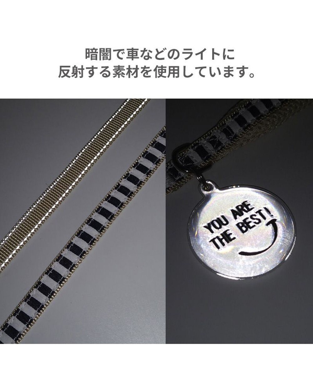 PET PARADISE 犬 リード 【ＳＭ】 ボーダー 