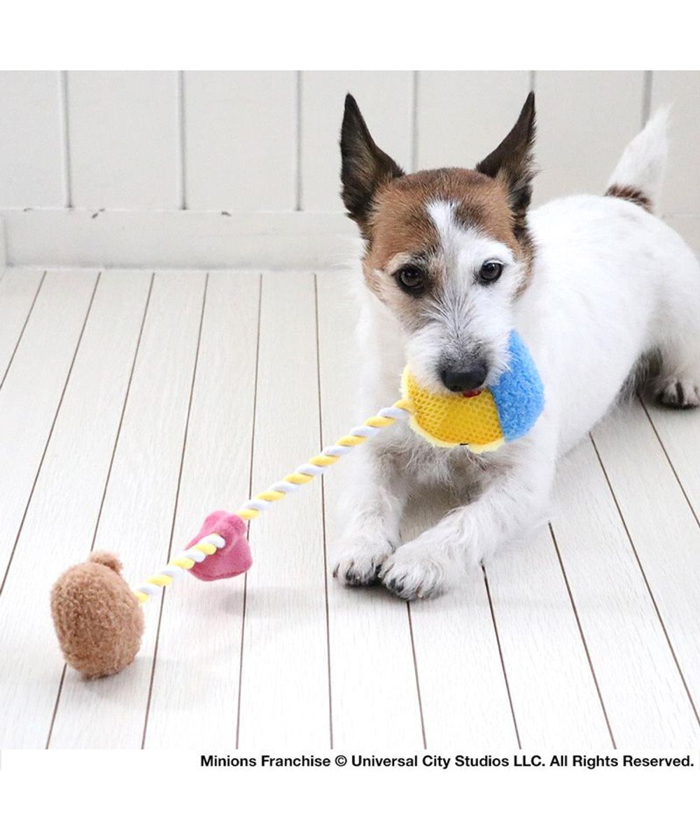 PET PARADISE ミニオン ボブ ティム ロープトイ  小型犬 