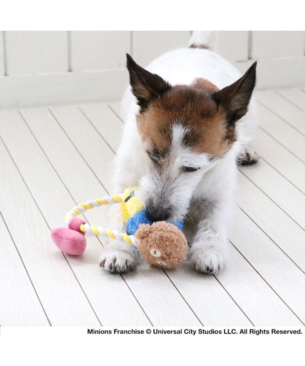 PET PARADISE ミニオン ボブ ティム ロープトイ  小型犬 