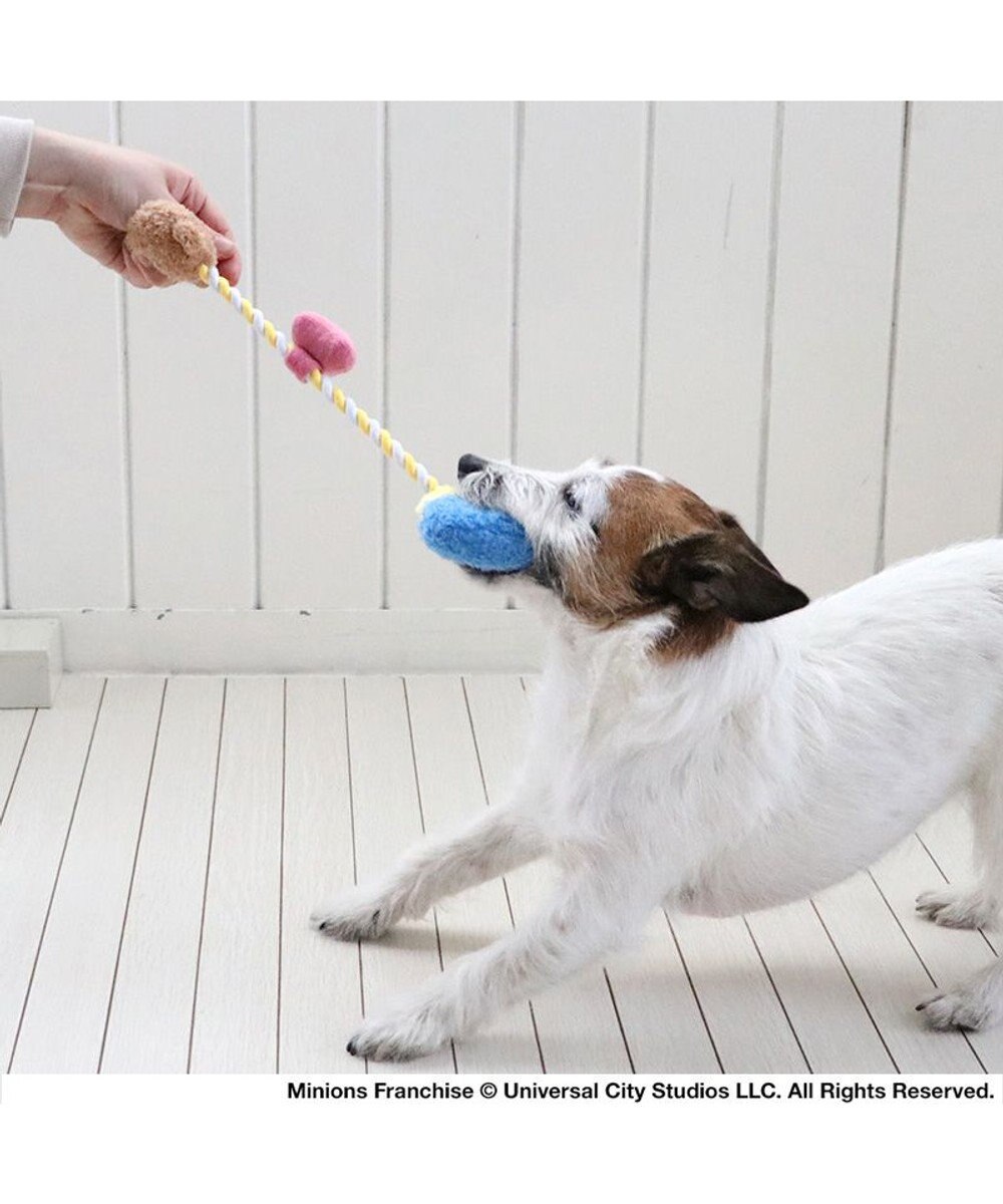 PET PARADISE ミニオン ボブ ティム ロープトイ  小型犬 