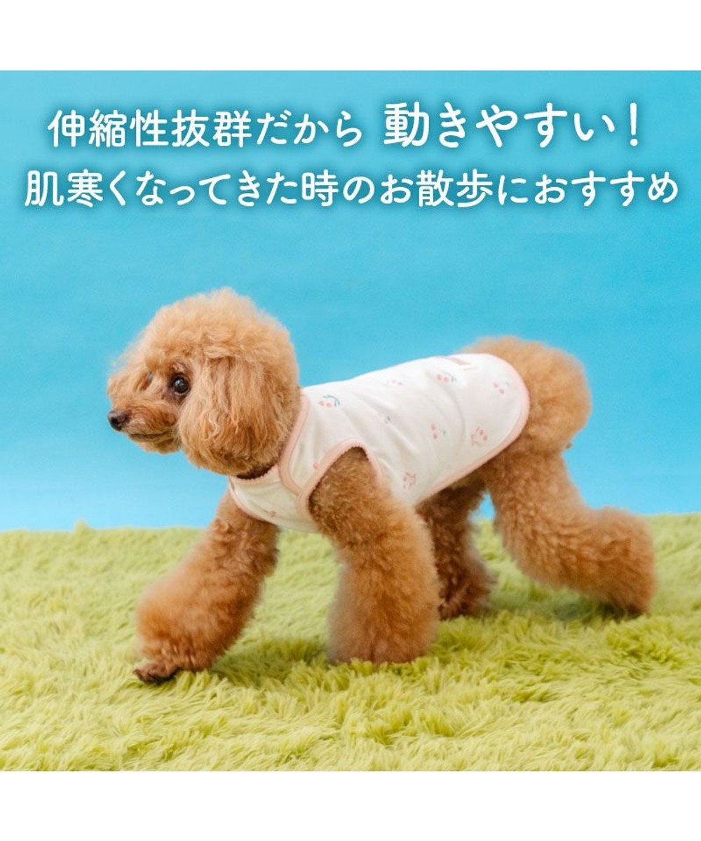 PET PARADISE ペットパラダイス ペティヒート天竺 タンクトップ 《さくらんぼ柄》 超小型犬 小型犬 