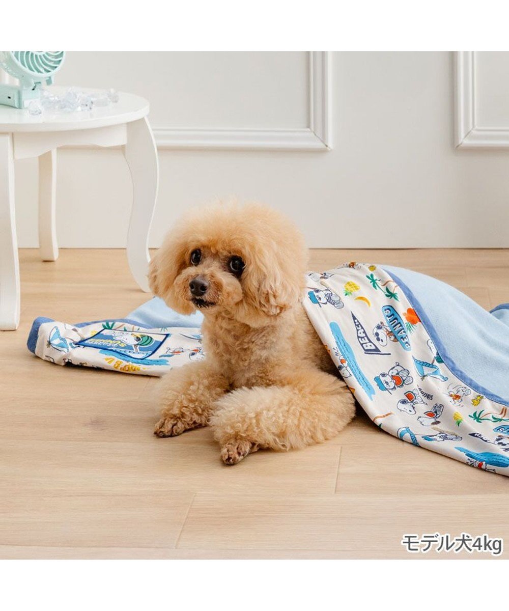 PET PARADISE スヌーピー クール ブランケット 《サマーバケーション》 