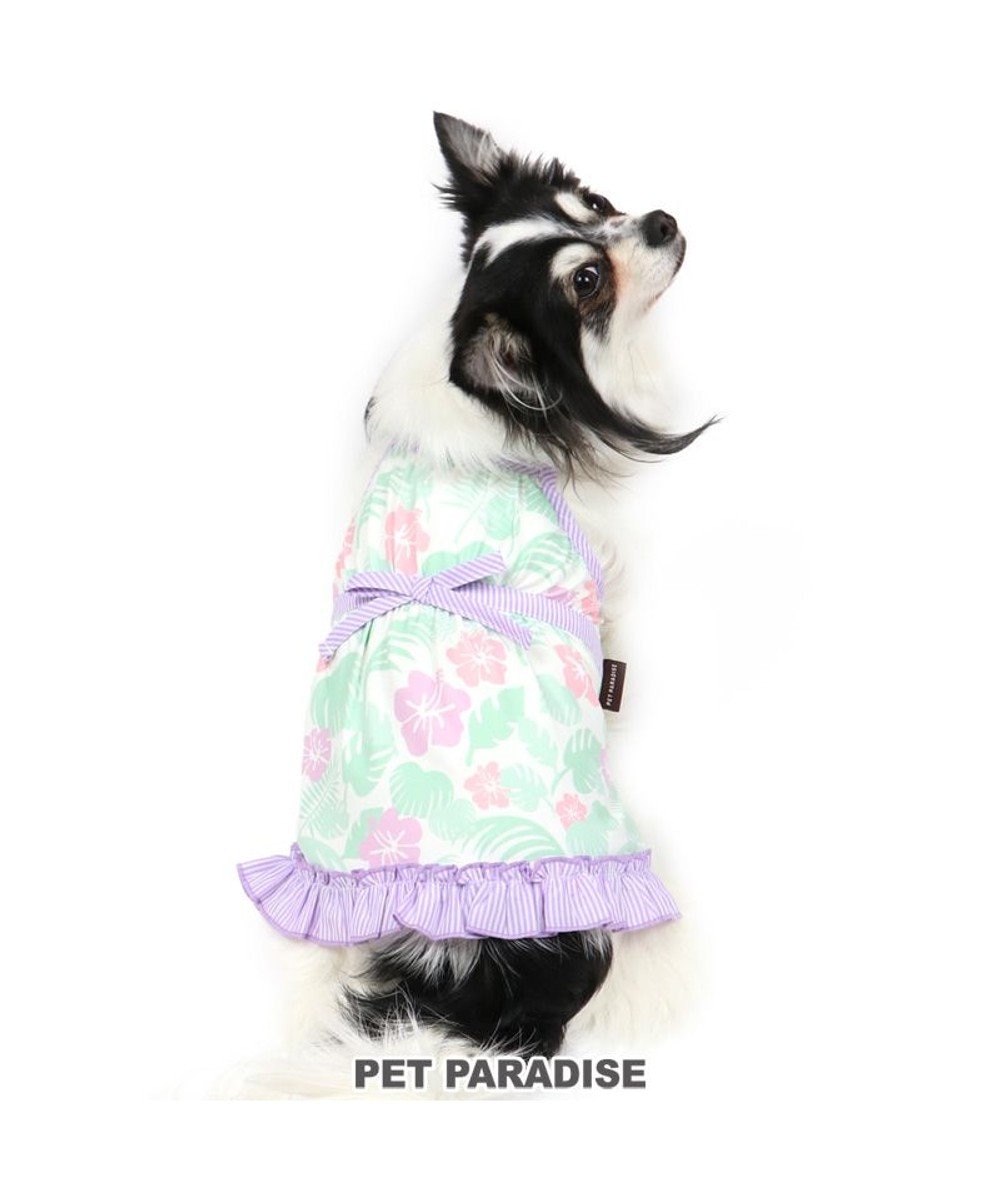 犬服 犬 服 ペットパラダイス クール 接触冷感 虫よけ ボタニカル キャミソール 紫 小型犬 超小型犬 小型犬 ひんやり 夏 涼感 冷却 吸水速乾 クールマックス Pet Paradise 通販 雑貨とペット用品の通販サイト マザーガーデン ペットパラダイス 犬服 犬 服 ペットパラダイス クール 接触冷感 虫よけ ボタニカル キャミソール 紫 小型犬 超小型犬 小型犬 ひんやり 夏 涼感 冷却 吸水速乾 クールマックス Pet Paradise 通販 雑貨とペット用品の通販サイト マザーガーデン ペットパラダイス