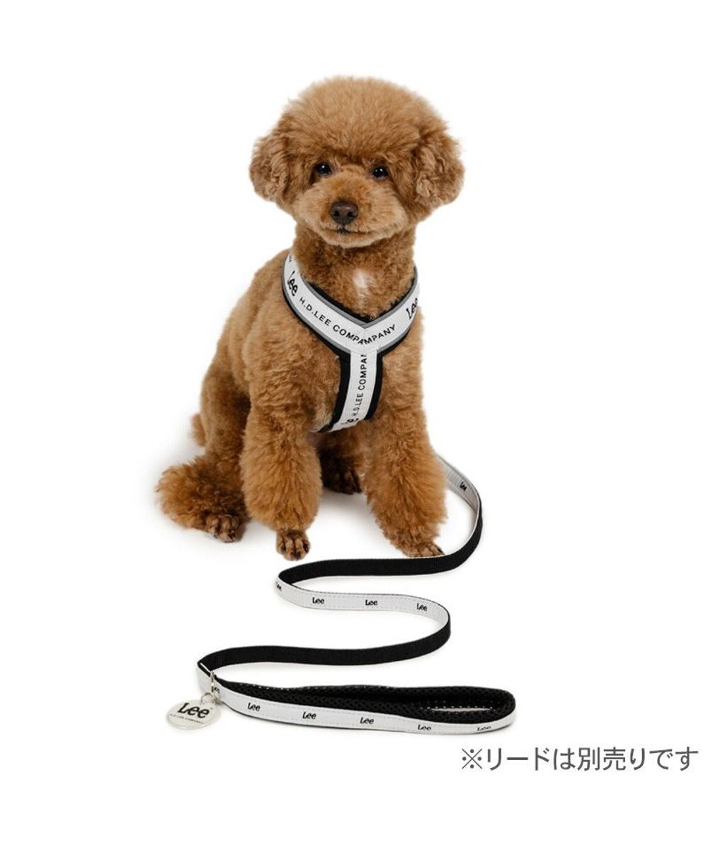 PET PARADISE Lee ロゴ アクティブ ハーネス Ｓ 小型犬 