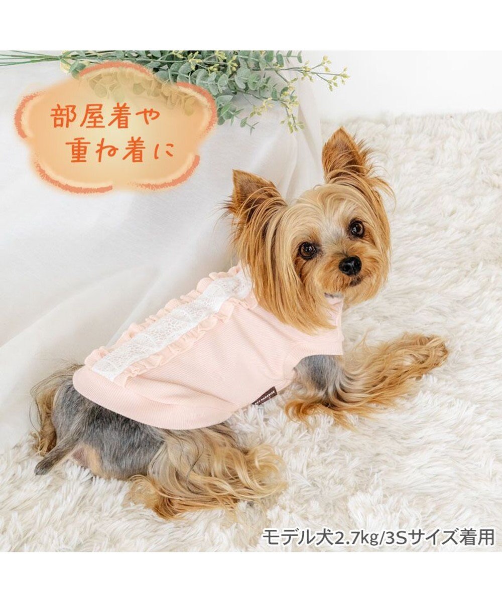 PET PARADISE ペットパラダイス  プレミアム ペティヒート レース Tシャツ 超小型犬 小型犬 