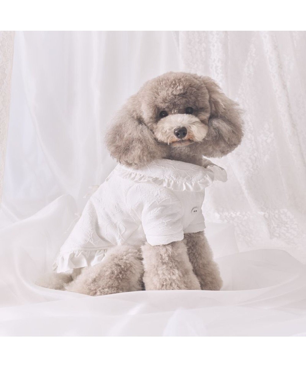 PET PARADISE cherircouture ジャガードコート 小型犬 
