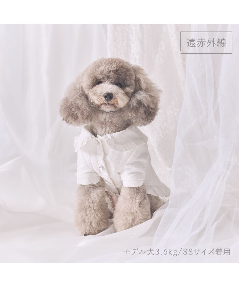 PET PARADISE cherircouture ジャガードコート 小型犬 
