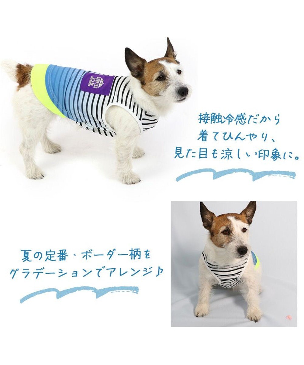PET PARADISE 犬の服 夏 ひんやり クール メッシュ 接触冷感 虫よけ グラデーション タンクトップ 【小型犬】クールマックスエコメイド 