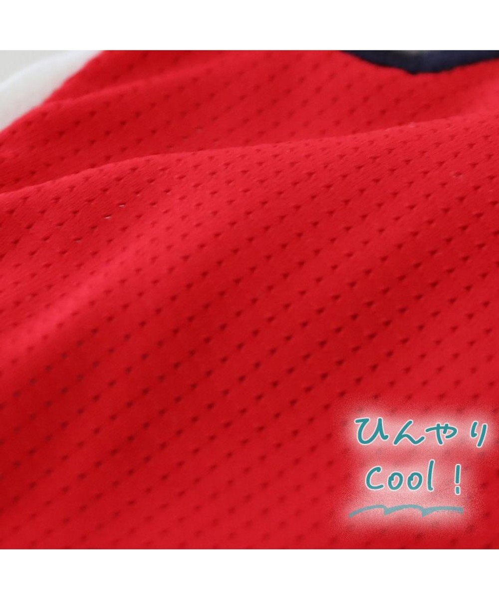 PET PARADISE スヌーピー バレーボール Tシャツ 接触冷感《レッド》 中型犬 大型犬 