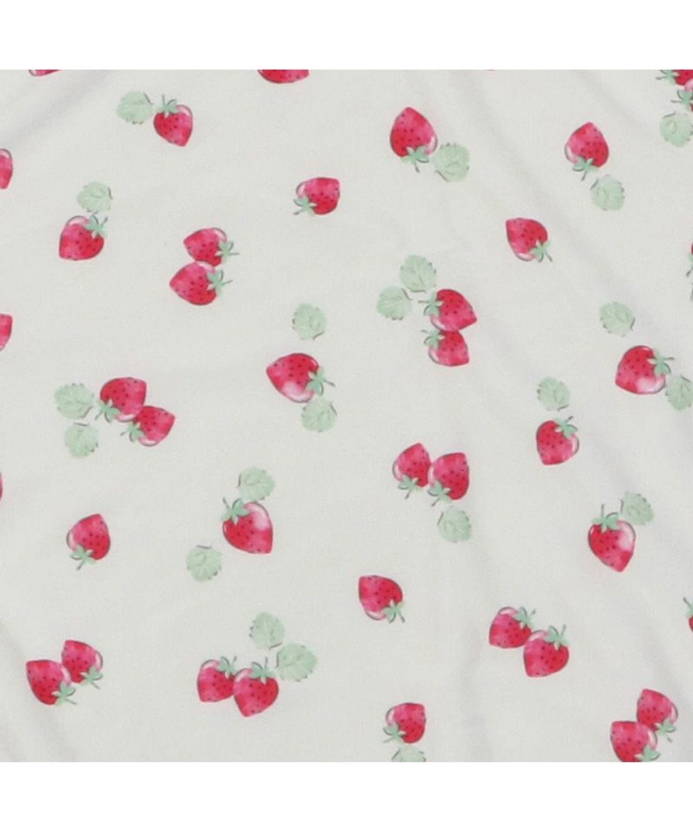 PET PARADISE ペットパラダイス クールブランケット 単品 (90×60cm)  《 苺柄 / ネイティブ柄 》 