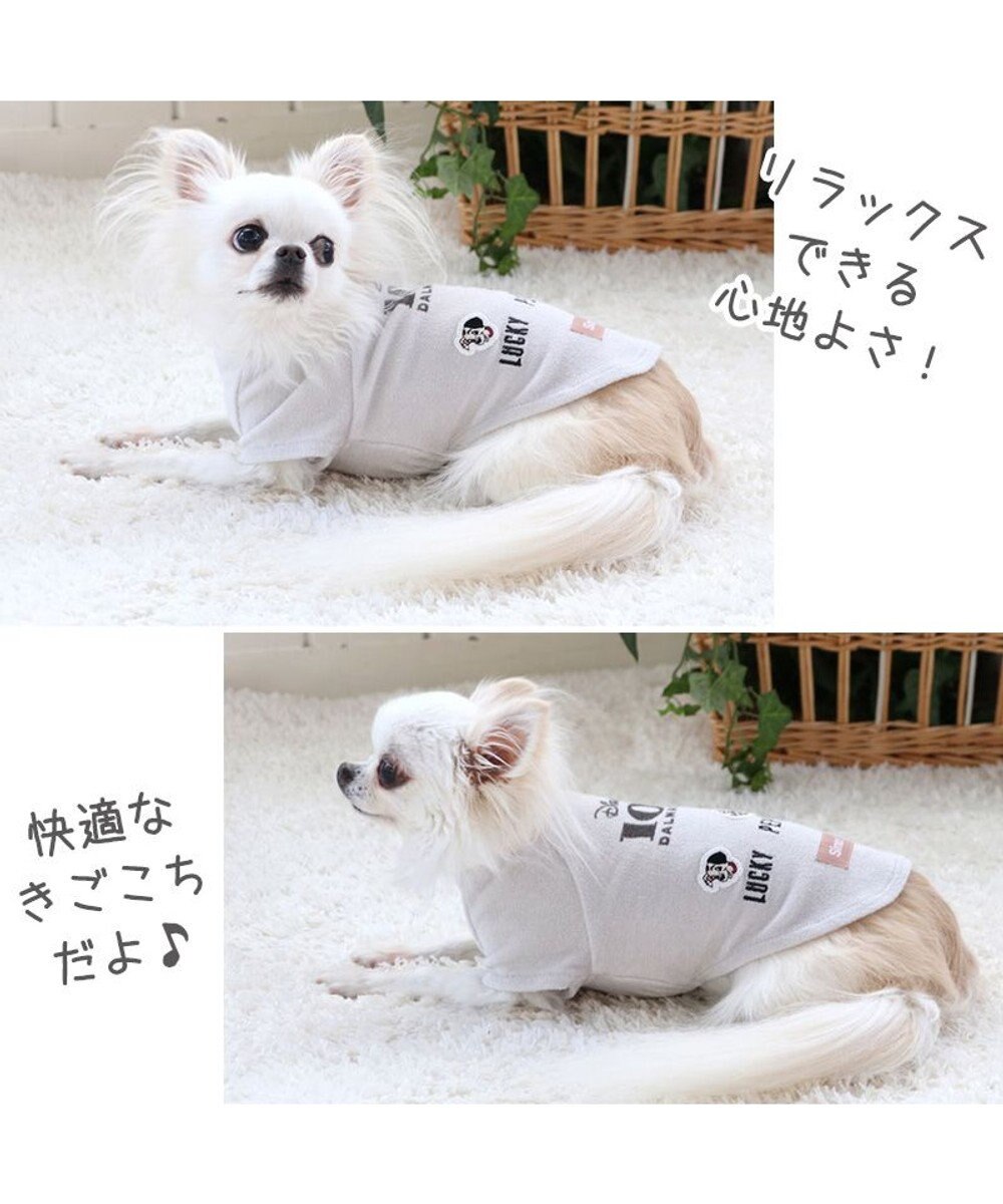 犬 服 夏服 ディズニー 101匹わんちゃん Tシャツ 小型犬 サーモキープ ペットウエア ドッグウエア ドッグウェア イヌ おしゃれ かわいい 快適温度維持 やわらか 伸縮性 快適温度 キャラクター Pet Paradise 通販 雑貨とペット用品の通販サイト マザー 犬 服 夏服 ディズニー 101匹わんちゃん Tシャツ 小型犬 サーモキープ ペットウエア ドッグウエア ドッグウェア イヌ おしゃれ かわいい 快適温度維持 やわらか 伸縮性 快適温度 キャラクター Pet Paradise 通販 雑貨とペット用品の通販サイト マザー