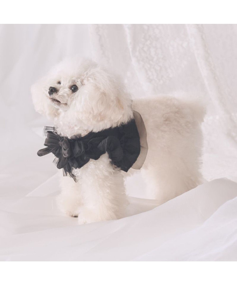 PET PARADISE cherircouture フリフリハーネス 《ブラック》 小型犬 Ｓ 