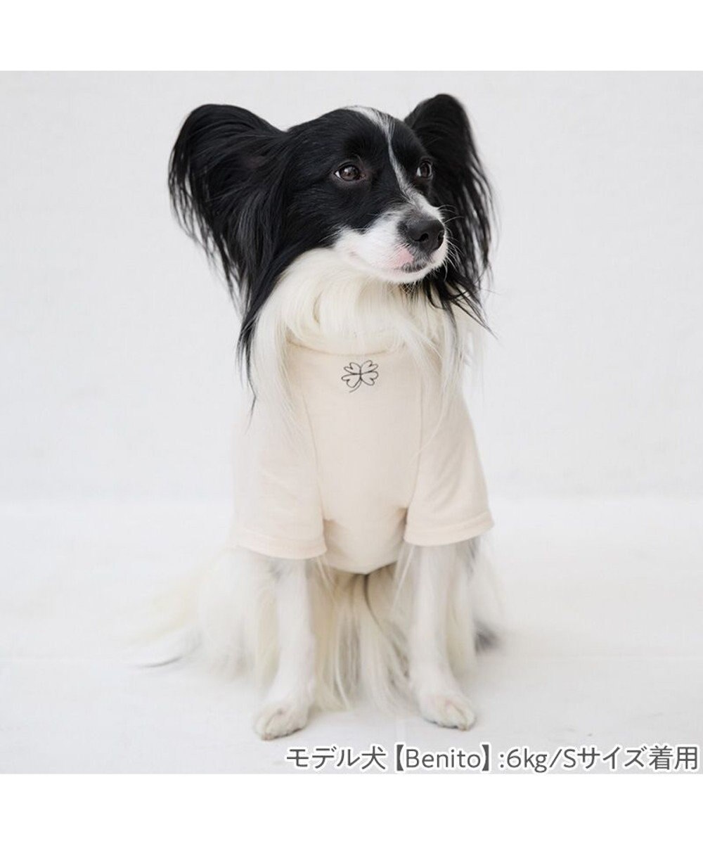 PET PARADISE ペットパラダイス Mai Kuraki　LOVE  ペットTシャツ 《ホワイト》 小型犬 