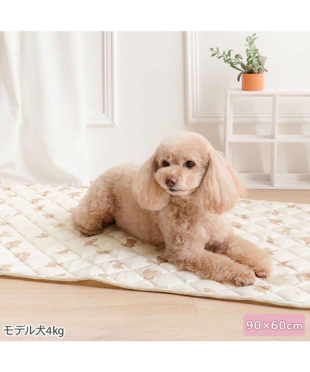 PET PARADISE ペットパラダイス くまさん クールマット Ｍ 