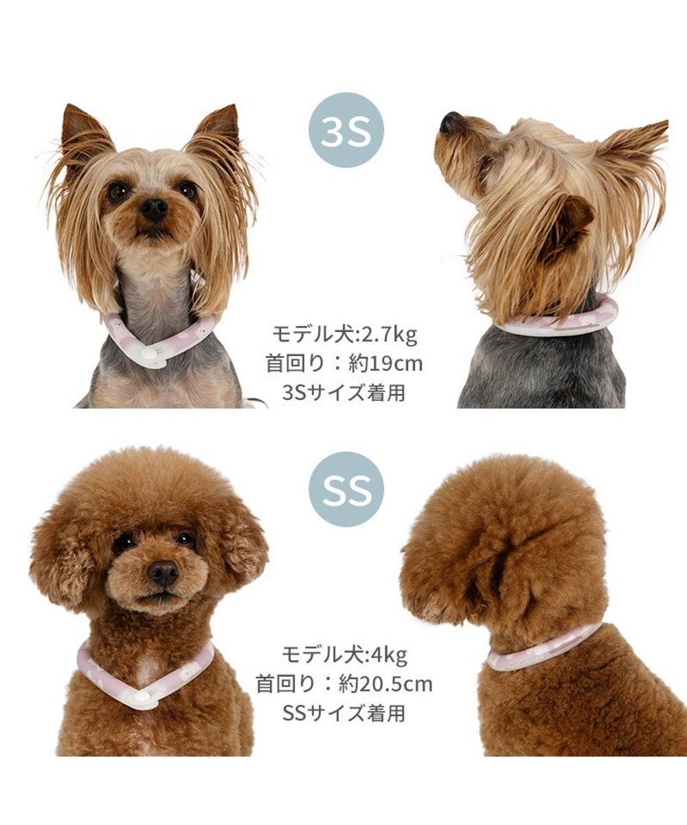PET PARADISE ペットパラダイス 28℃クールリング 《くま》 ＳＳ 小型犬 