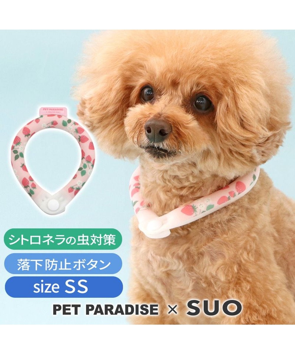PET PARADISE ペットパラダイス 28℃クールリング SUO 《いちご柄》 〔ＳＳ〕 小型犬 いちご