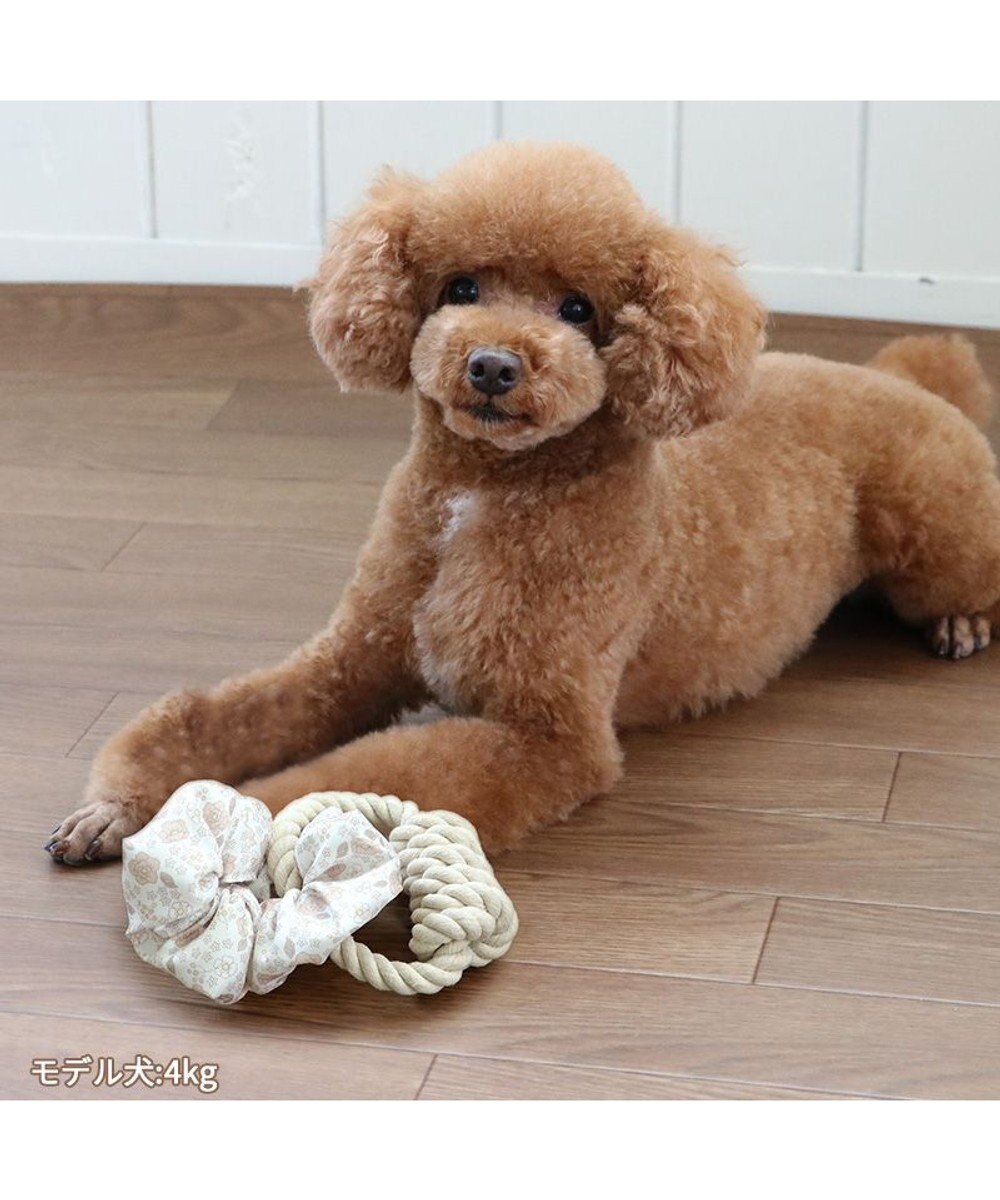 PET PARADISE ペットパラダイス 引っ張り シュシュ トイ  《 花柄 / ドット柄 》 