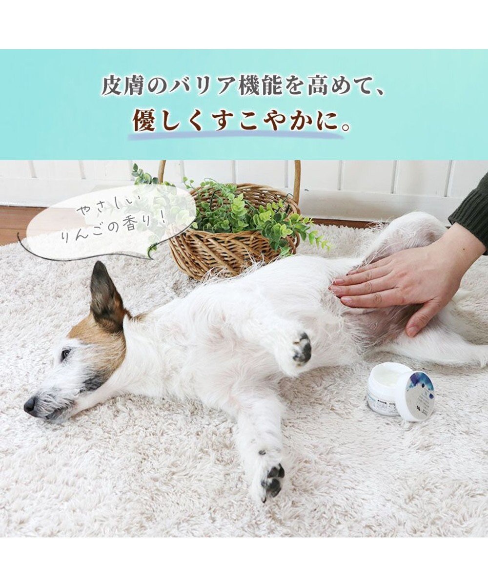 PET PARADISE ミネラルミューズ パウ&スキンケアクリーム 50mL
