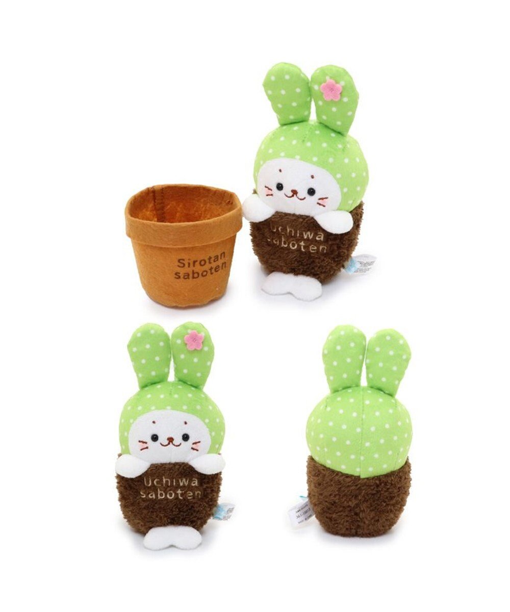 Mother garden しろたん サボテン マスコット 《うちわサボテン》 