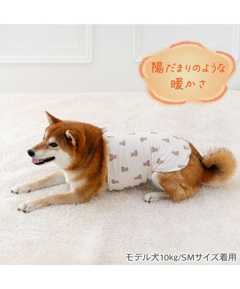 PET PARADISE ペットパラダイス くまちゃん ペティヒート 天竺 腹巻 小型犬 