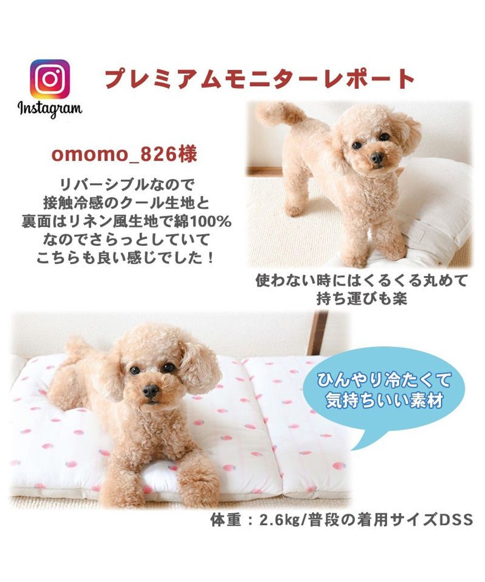 犬 冷感 マット クール 接触冷感 苺柄 柔らか ロールマット (90×45cm) 苺 いちご イチゴ 野いちご 野苺 グッズ やわらか ひんやり  涼感 冷却 ベット ベッド 夏用 冷感 洗える, -, Ｐ／5ｋ