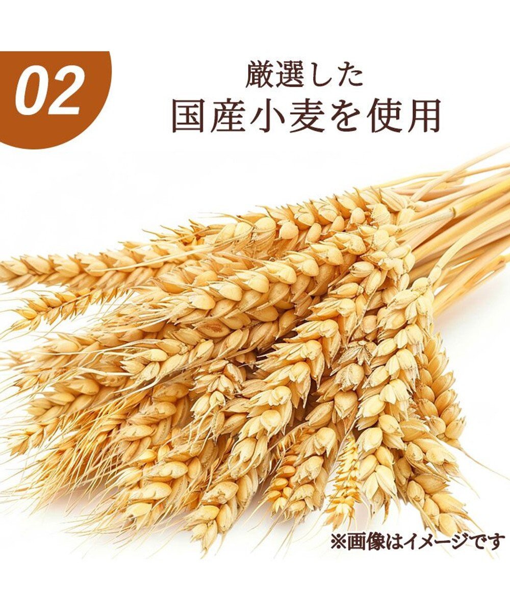 PET PARADISE ペットパラダイス 国産小麦 ミックスラスク　35ｇ 