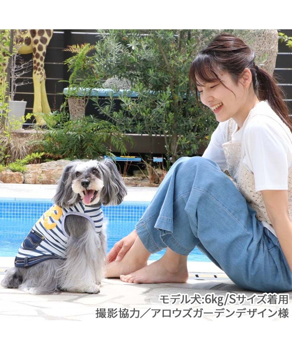 PET PARADISE  Ｌｅｅ エコメイド タンクトップ 《ボーダー柄》 小型犬 