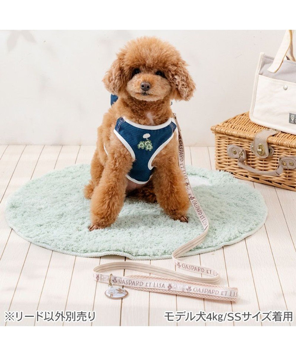 PET PARADISE リサとガスパール ラインリード ４Ｓ～３Ｓ 