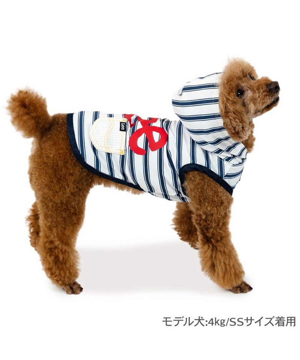 犬のキャラクター ストラップ 2色セット お茶犬 ストラップ 二個セット 麦茶犬 ムハ 烏龍茶犬 ロン