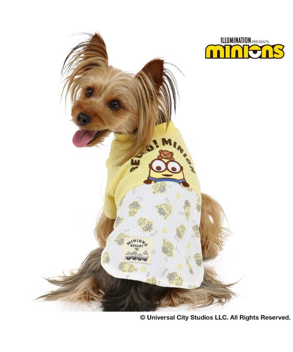犬 服 春夏 ミニオン ワッフルtシャツ 小型犬 2ボブポケット ドッグウエア ドッグウェア イヌ おしゃれ かわいい Pet Paradise 通販 雑貨とペット用品の通販サイト マザーガーデン ペットパラダイス 犬 服 春夏 ミニオン ワッフルtシャツ 小型犬 2ボブポケット ドッグウエア ドッグウェア イヌ おしゃれ かわいい Pet Paradise 通販 雑貨とペット用品の通販サイト マザーガーデン ペットパラダイス