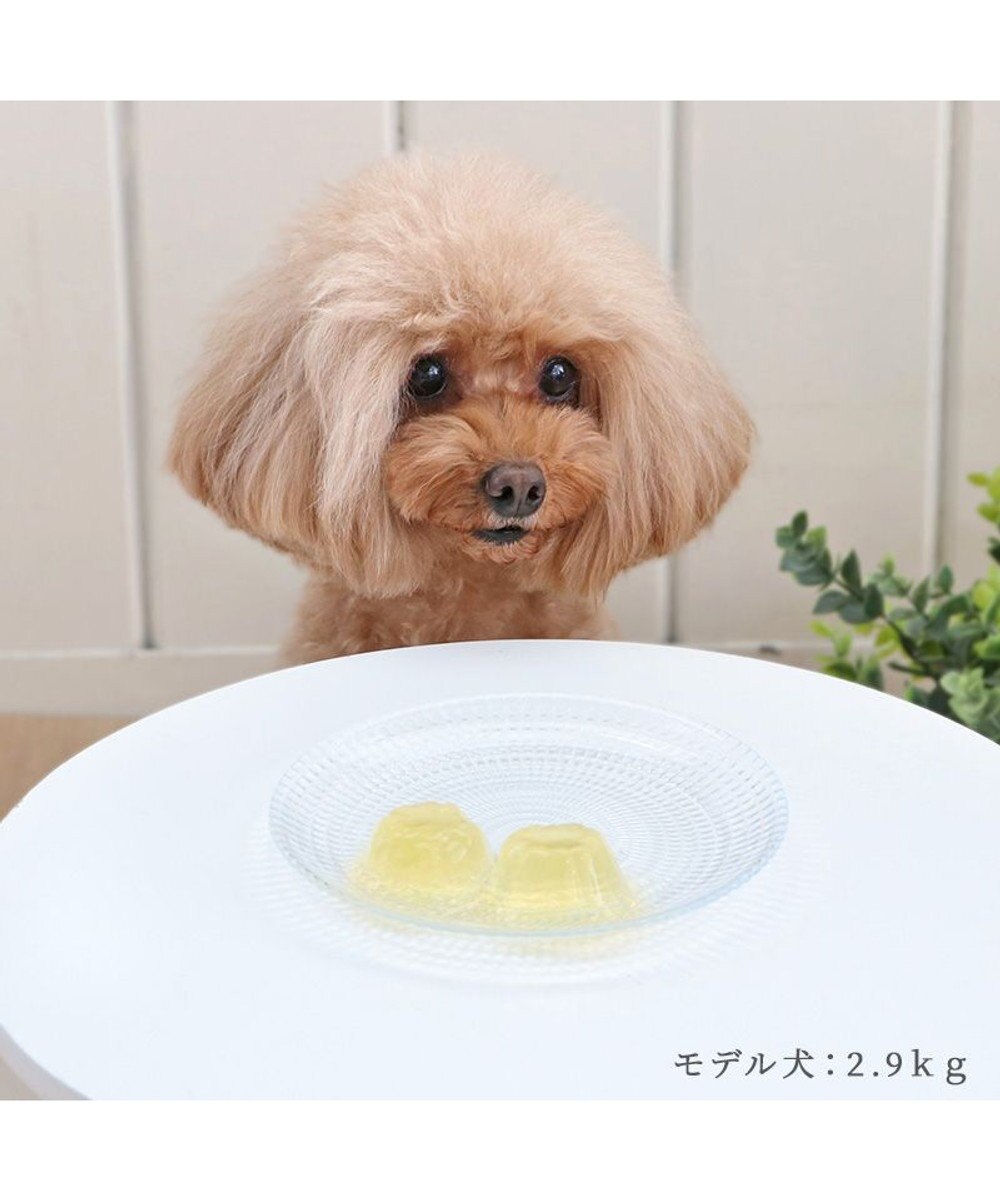 PET PARADISE りんごゼリー 8個入り 