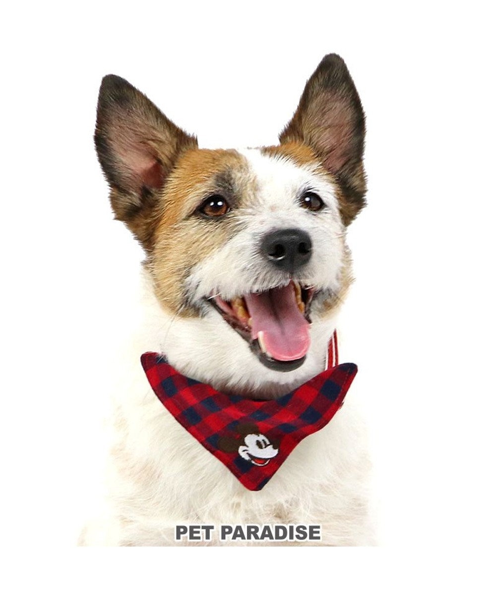 PET PARADISE ディズニー ミッキーマウス プルート  散歩柄首輪【ＳＳ】 小型犬 赤