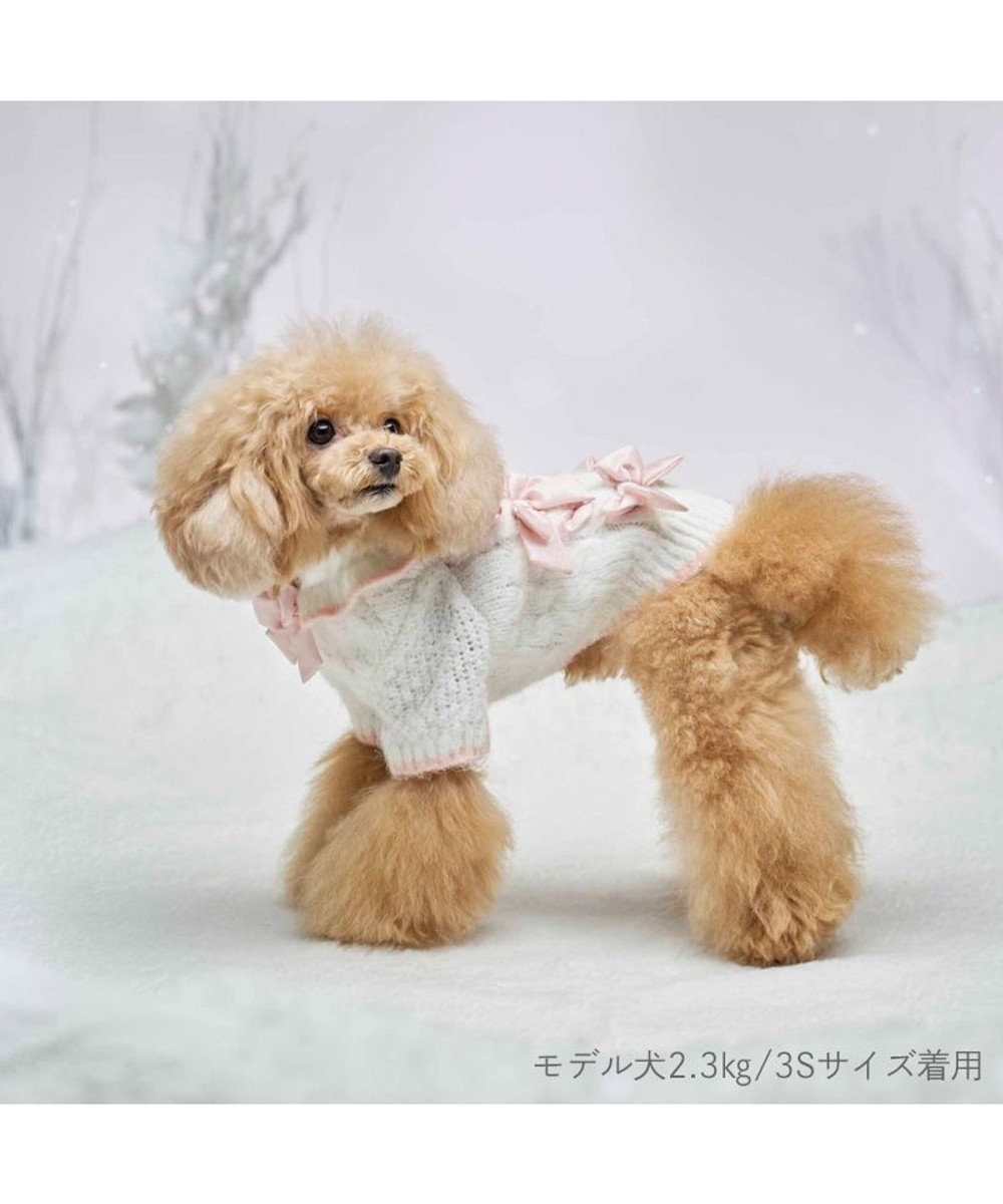 PET PARADISE cherircouture リボン編込ニット 小型犬 