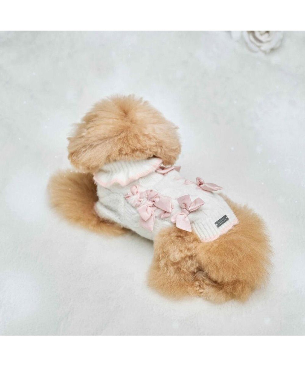 PET PARADISE cherircouture リボン編込ニット 小型犬 