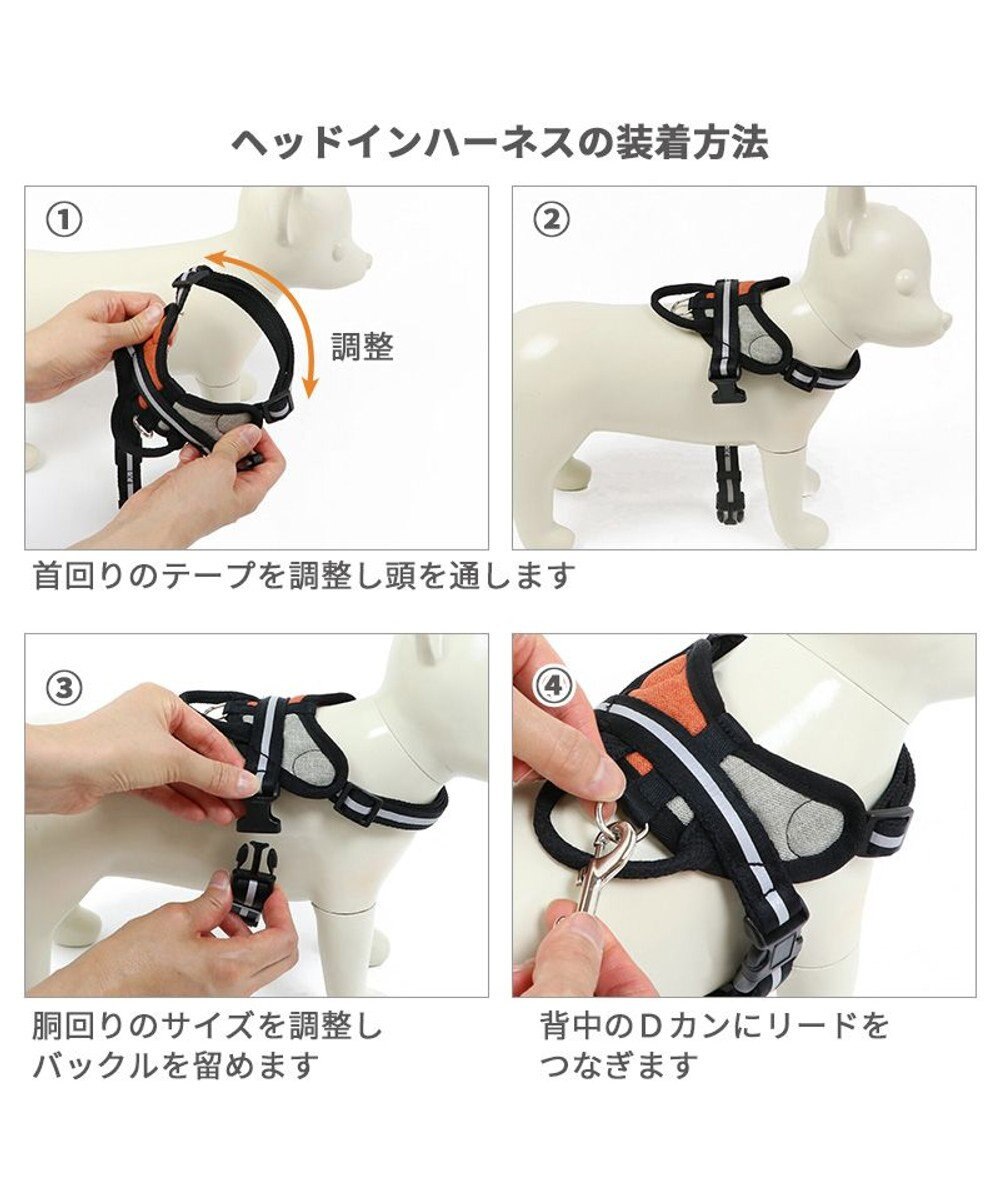 PET PARADISE ヘッドインハーネス  【Ｍ】オレンジ / ブルー 【中型犬 大型犬】 