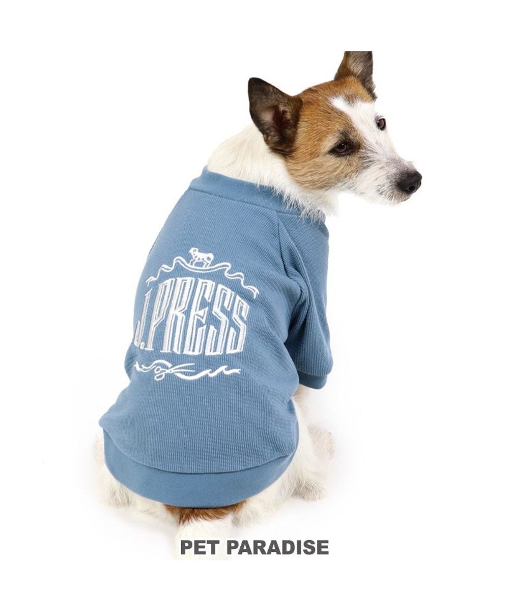 PET PARADISE 犬 服 夏服 J.PRESS トレーナー 〔小型犬〕 ワッフル ペットウエア ペットウェア ドッグウエア ドッグウェア ベビー 超小型犬 小型犬 紺（ネイビー・インディゴ）