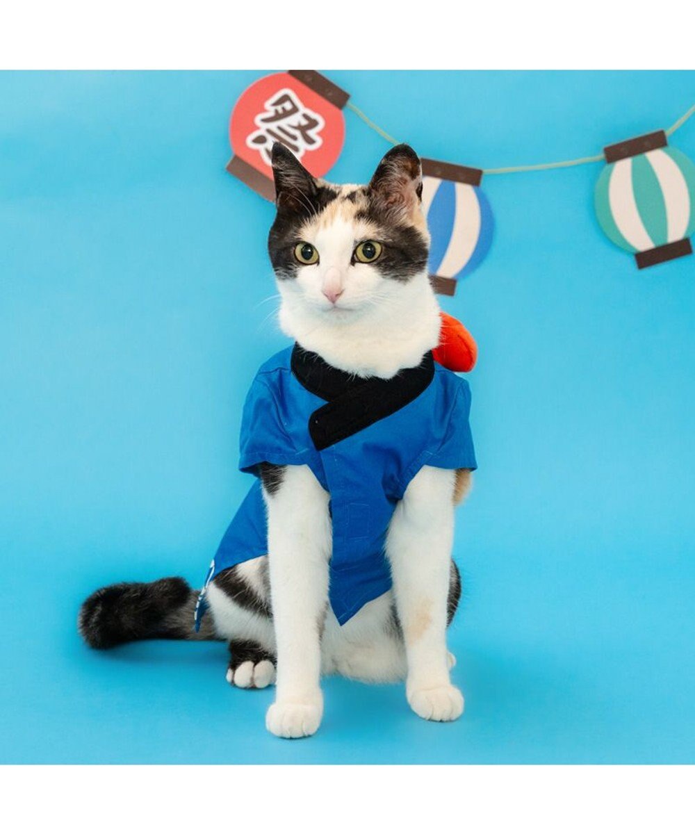 PET PARADISE ペットパラダイス お祭り法被 《金魚》 小型犬 