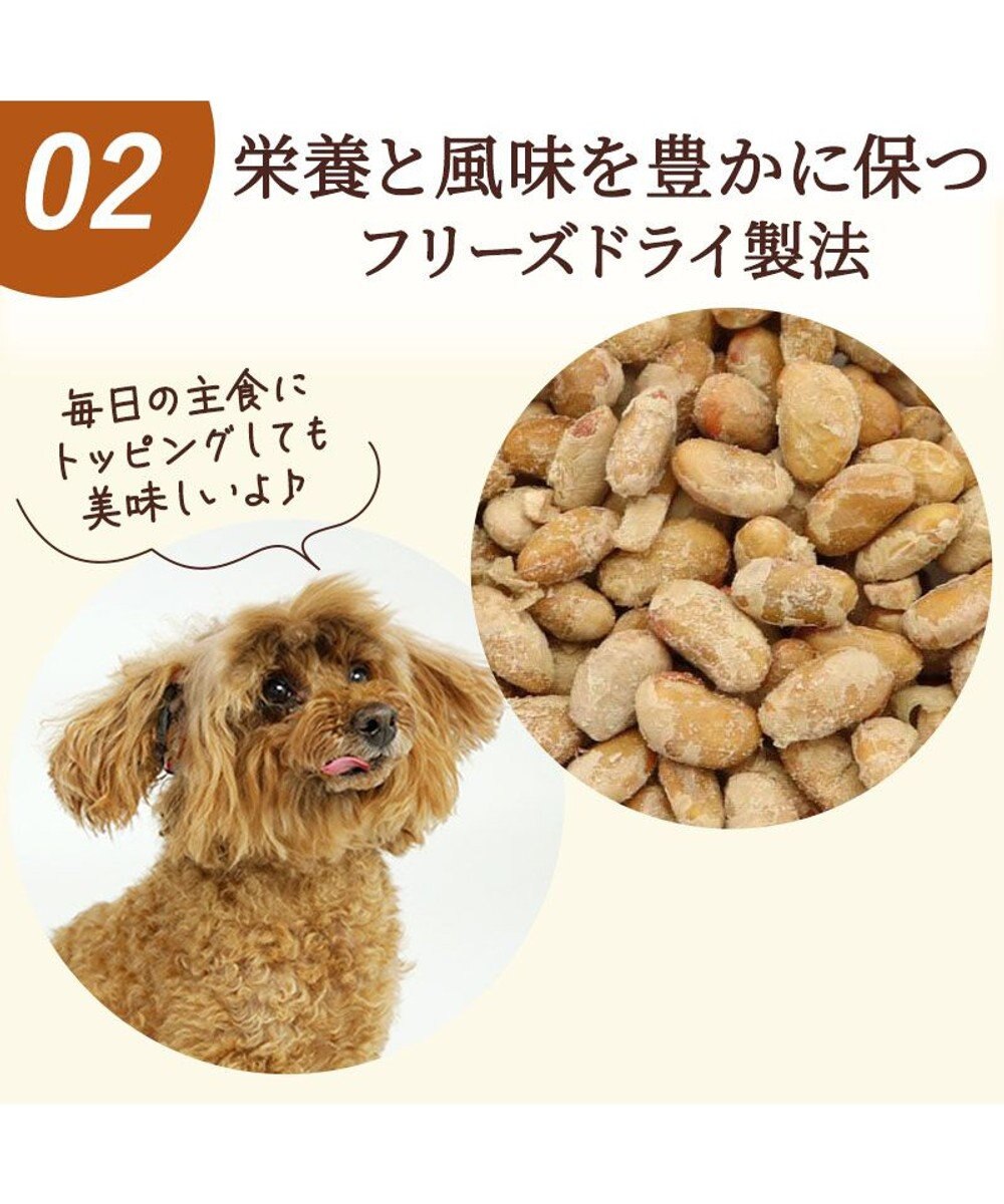 PET PARADISE フリーズドライ 納豆 40g 国産 