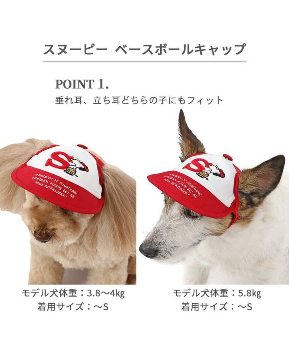 犬 販売済み 柄 キャップ