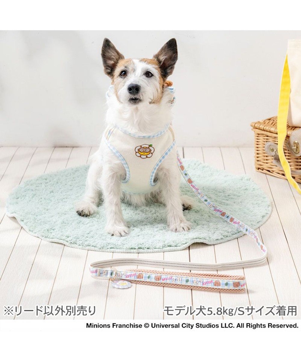 PET PARADISE ミニオン ティム お花柄 リード ４Ｓ～３Ｓ 