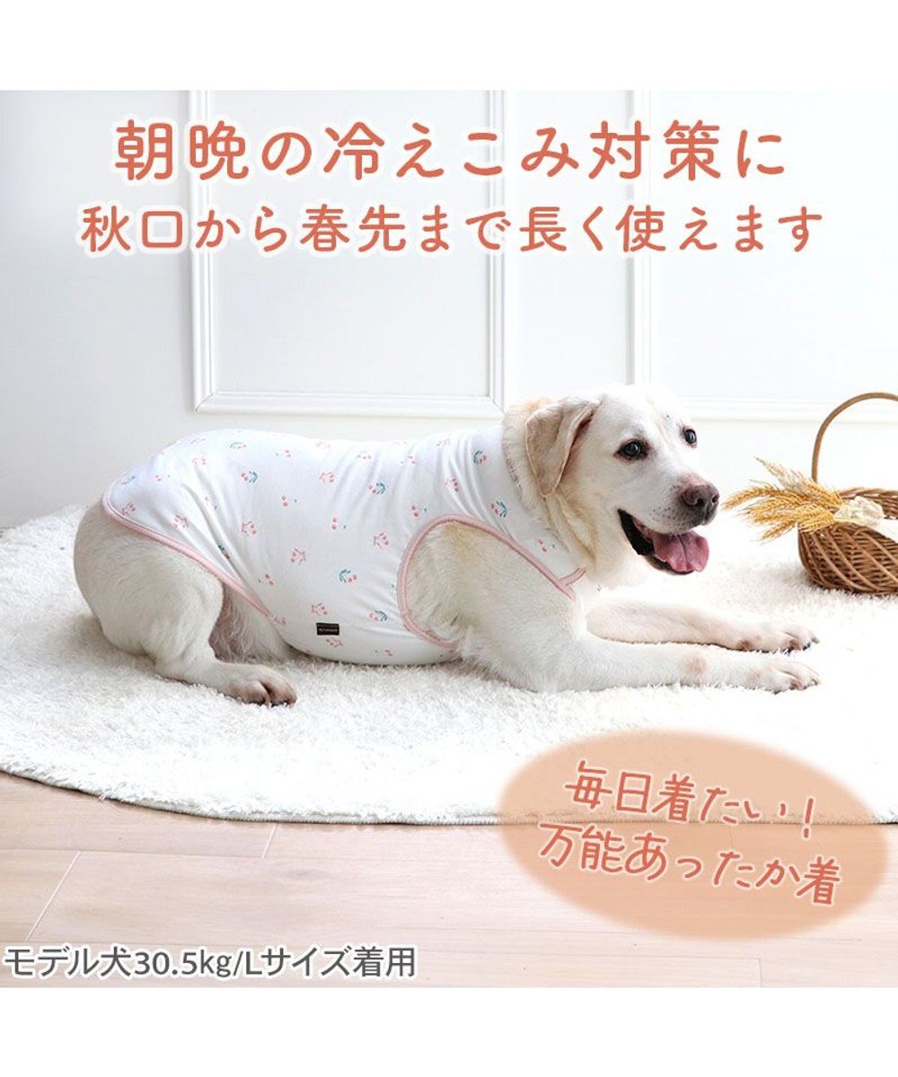 PET PARADISE ペットパラダイス ペティヒート天竺 タンクトップ 《さくらんぼ柄》  中型犬 大型犬 