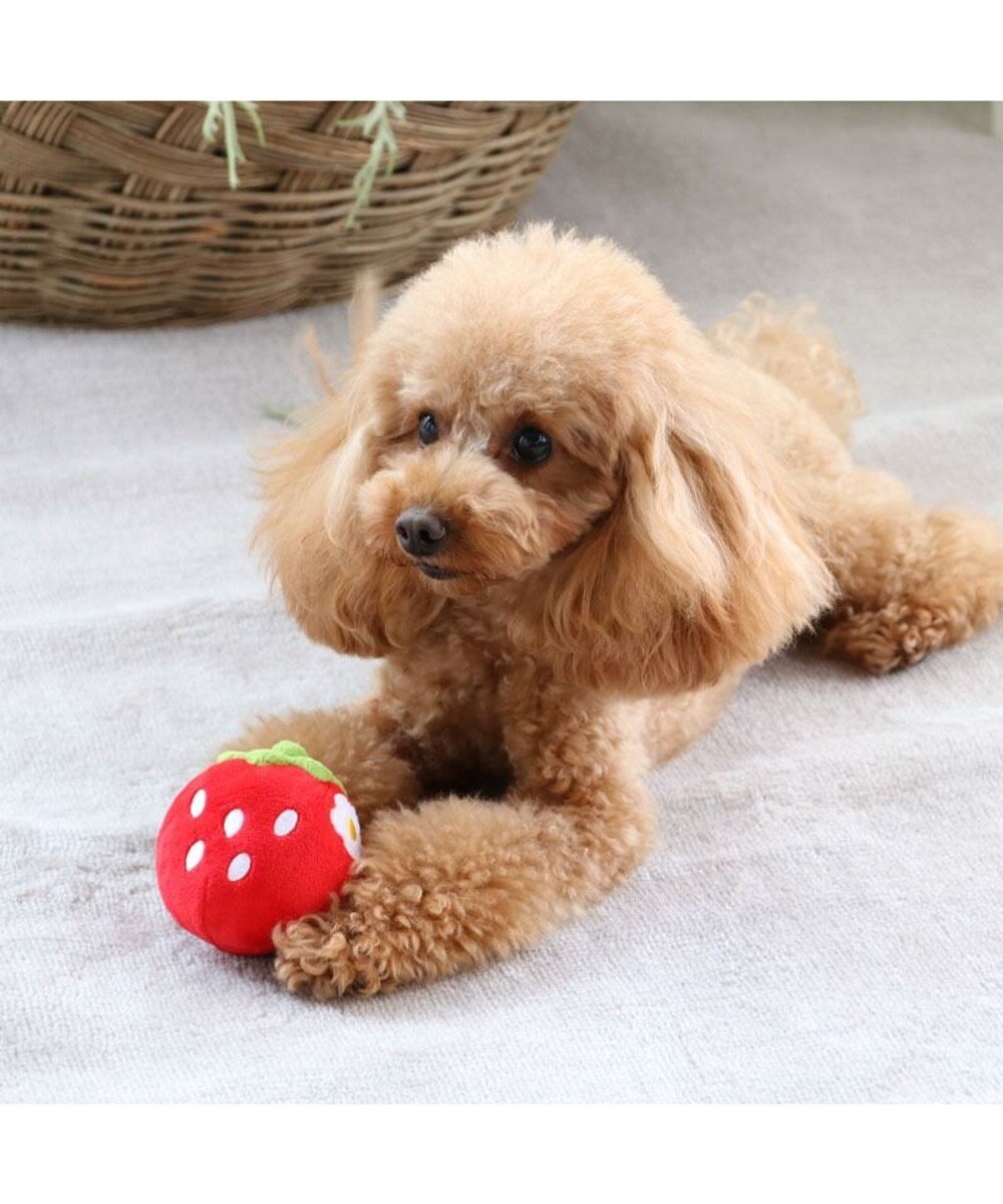 犬用品 ペットグッズ 犬 おもちゃ ペットパラダイス 犬 おもちゃ ボール 苺 コロコロ 苺 いちご 赤 イチゴ 野いちご 野いちご イチゴ おうちであそぼう おうち時間 お家遊び 音が鳴る オモチャ 玩具 Toy 小型犬 おもちゃ Pet Paradise 通販 雑貨とペット用品の通販